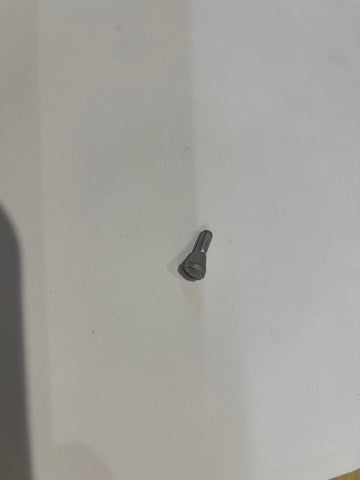 Genuine Johnson Evinrude Screw, Carb 0551517