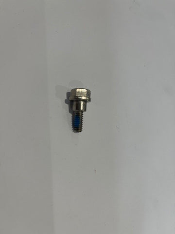 Johnson Evinrude Throttle Clamp Screw 0326618