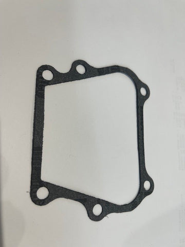 BRP OMC Johnson Evinrude Reed Valve Gasket 0307133