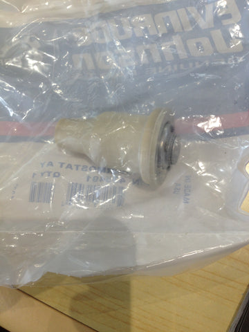 Thermostat 0435491