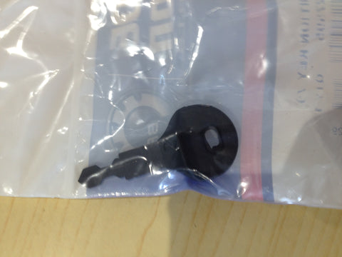Ignition key 0127595