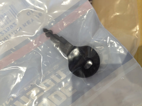 Ignition key 0127592