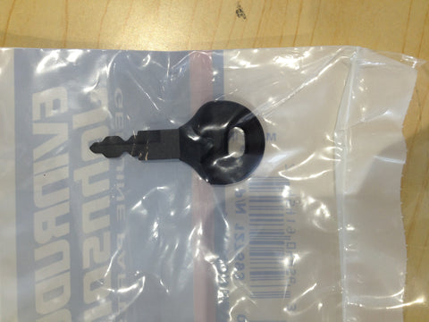 Ignition key 0127593