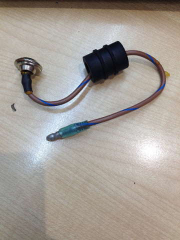 Temperature switch assembly 0584589