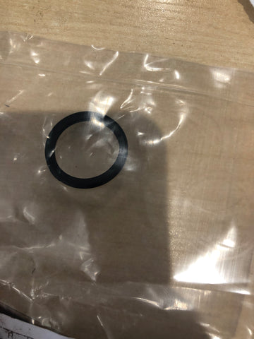Thermostat seal 0339299