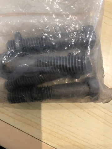Screw 0131794