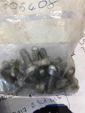 Screw 0306408
