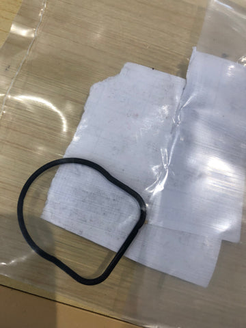 Thermostat cover seal 0336947