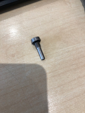 Pivot pin & washer 0308376