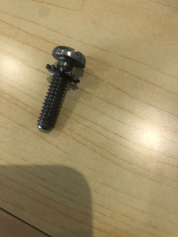 Screw 0307029