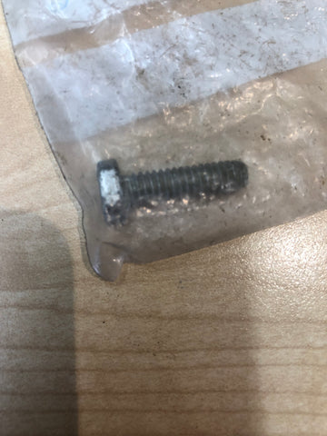 Screw 0313332