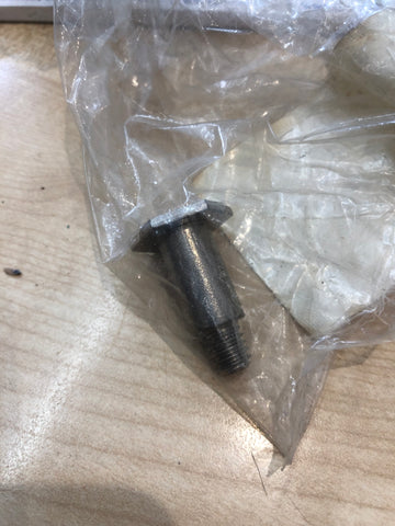 Screw 0313849