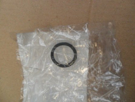 Evinrude Johnson Thermostat Seal 0339299